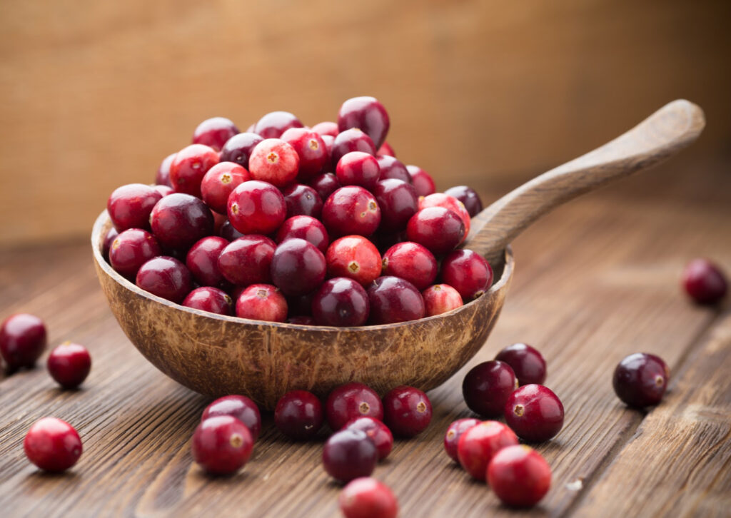 Cranberries: Cranberries are Powerful Medicine