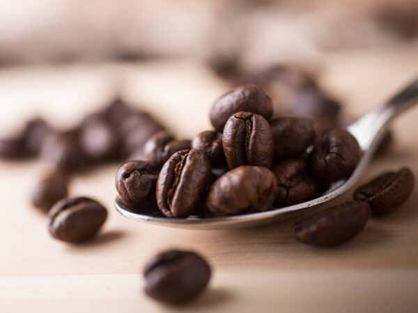 Image from a post with the title: Why You Should Choose Shade Grown Coffee.