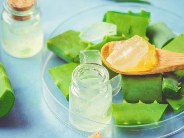 Image from a post with the title: Conquering Candida: Supplements for Flora Balance.