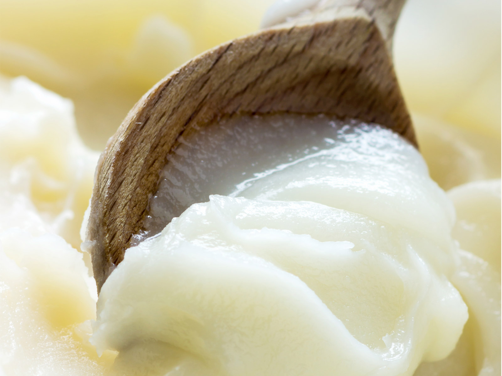 Lard: A Health Food That Will Shock You – Healing Gourmet pin