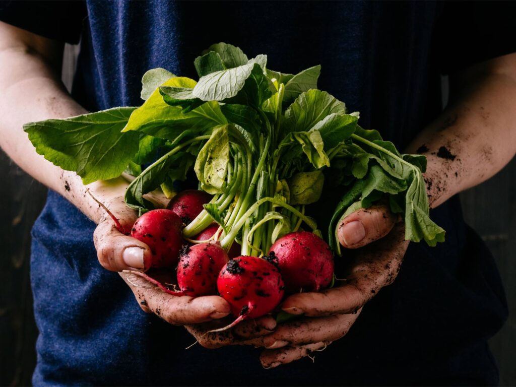 Get 25% MORE Antioxidants in Organic Food