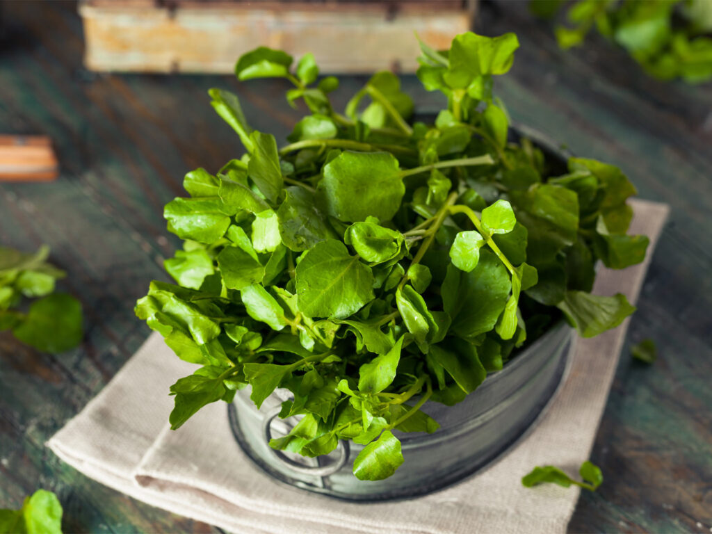 Watercress: Powerful Protection for Your DNA