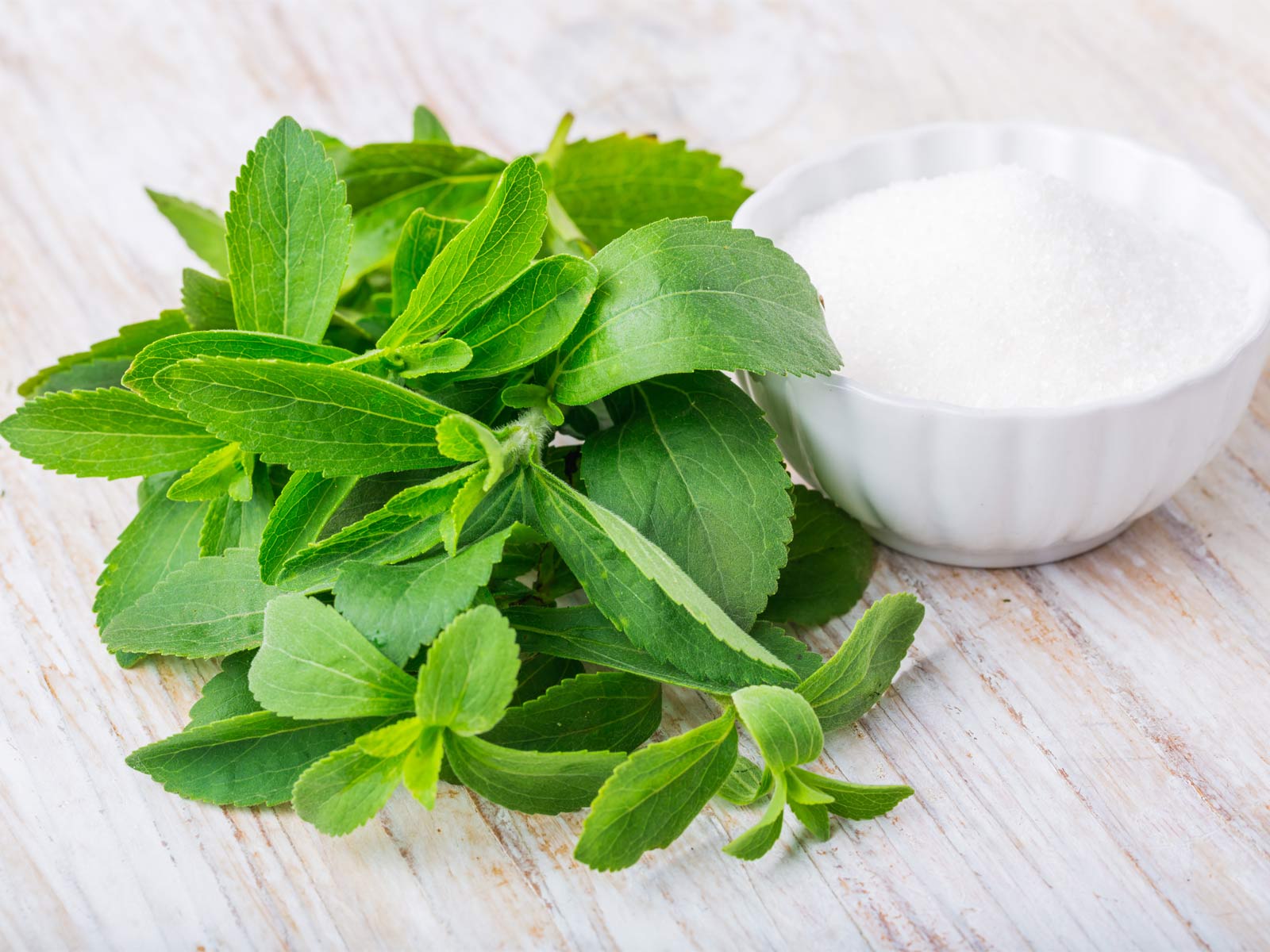 Stevia: Baking with Nature’s Most Powerful Sweetener – Healing Gourmet pin
