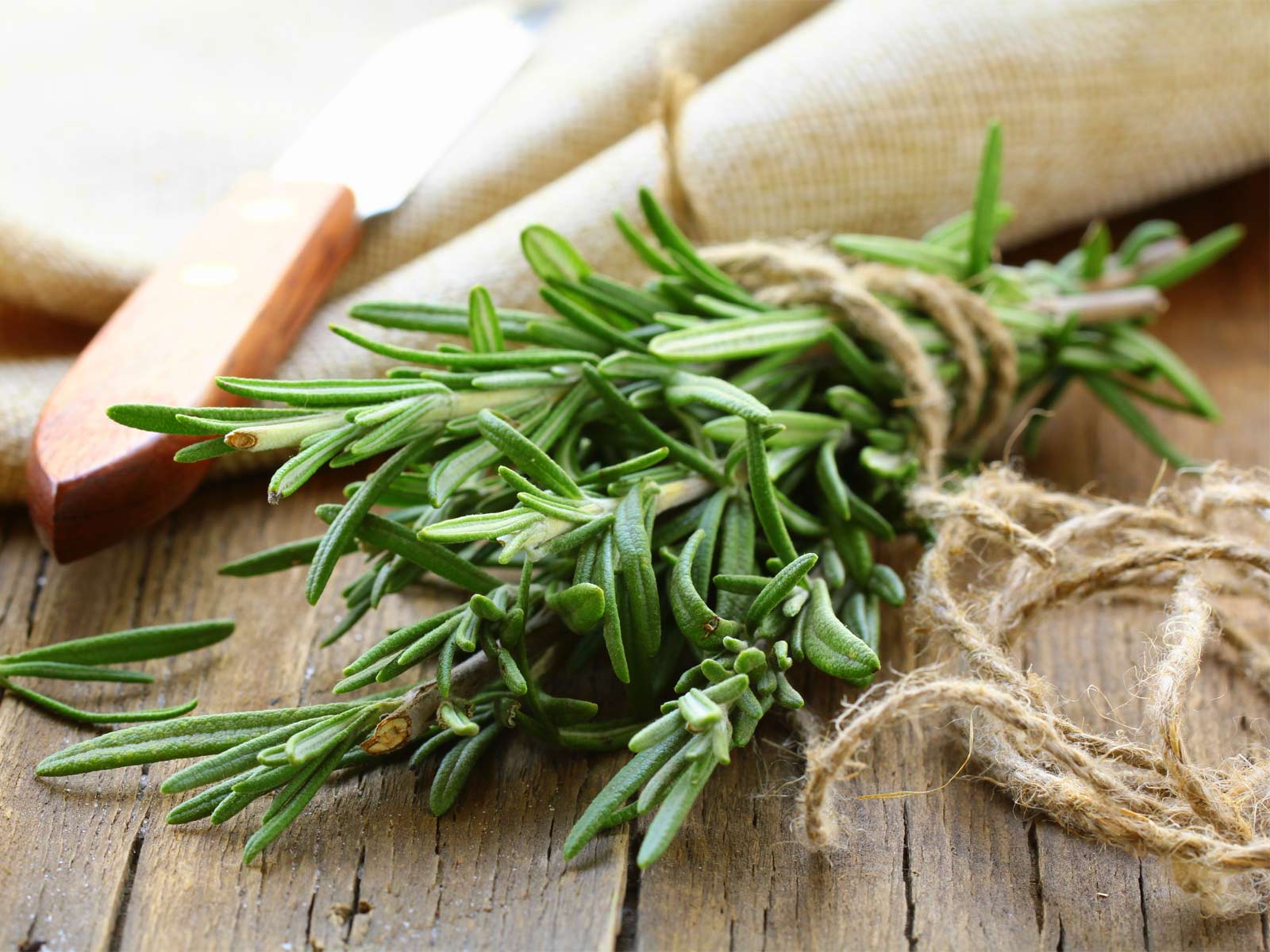 7 Health Benefits of Rosemary (Plus: How to Boost Its Healing Power) – Healing Gourmet pin