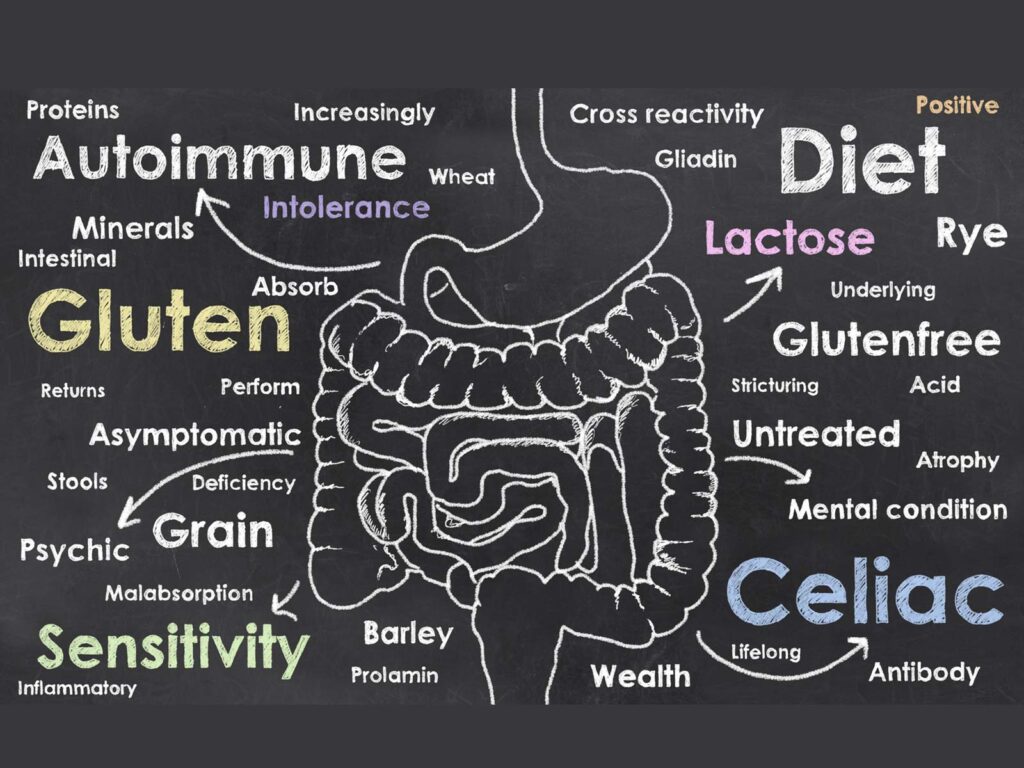 Is Gluten Intolerance Real – or a Made-Up Hoax?