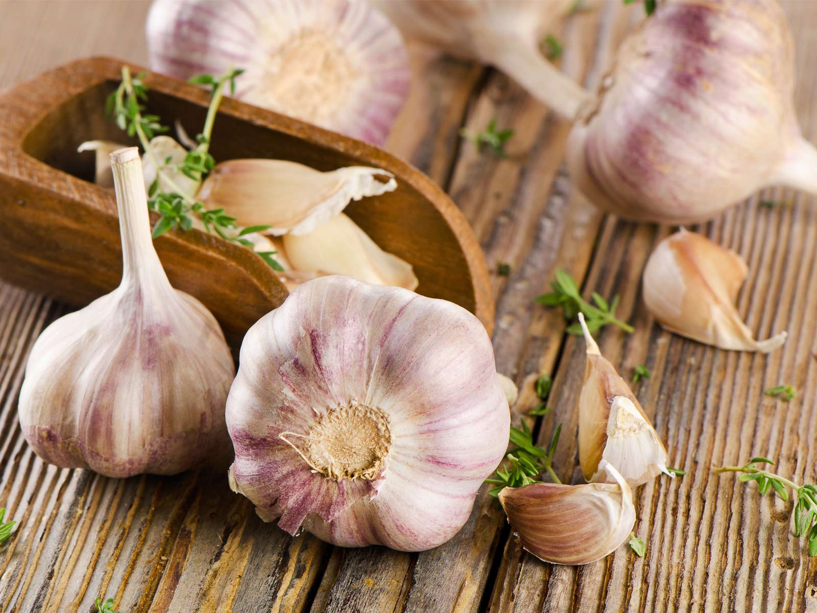 Garlic for Weight Loss (Boost Flavor and Nutrients) – Healing Gourmet pin