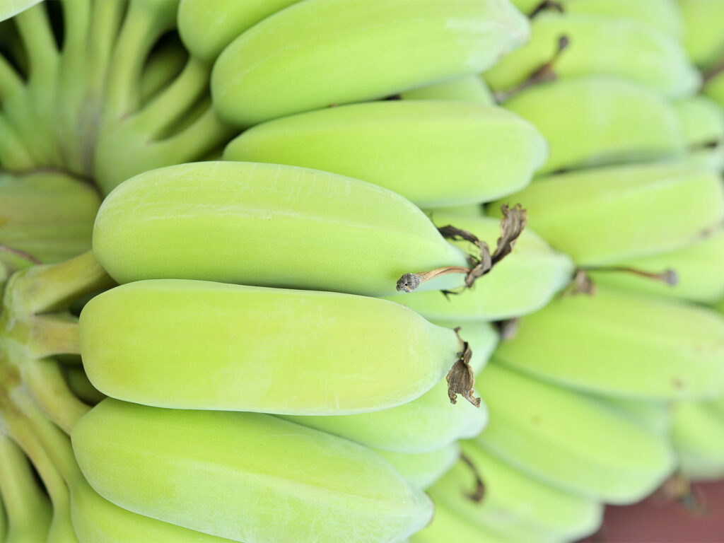 Resistant Starch: The Un-Carb for Optimum Health