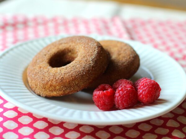 Paleo Donuts (High Protein, Low Carb)