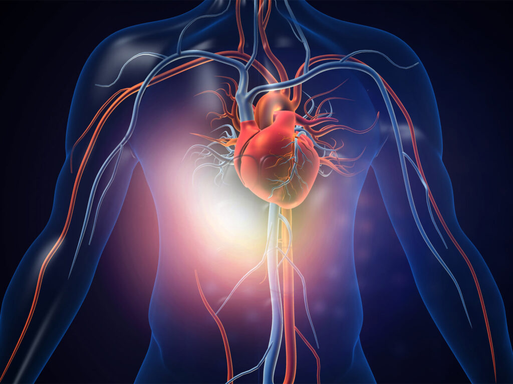 How Erythritol Protects Your Arteries (and the REAL Cause of Heart Disease)