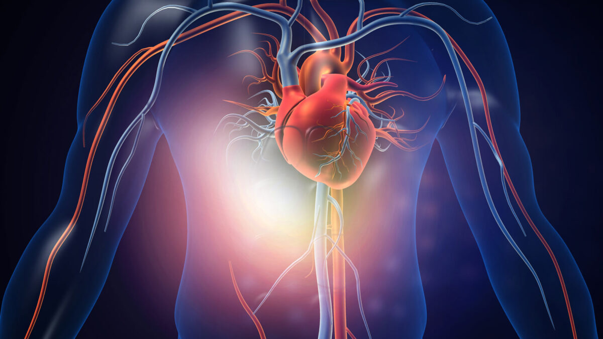 How Erythritol Protects Your Arteries (and the REAL Cause of Heart Disease)