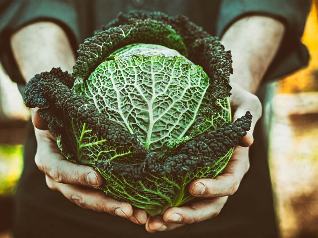 Cruciferous Veggies Fight Cancer at Its Core