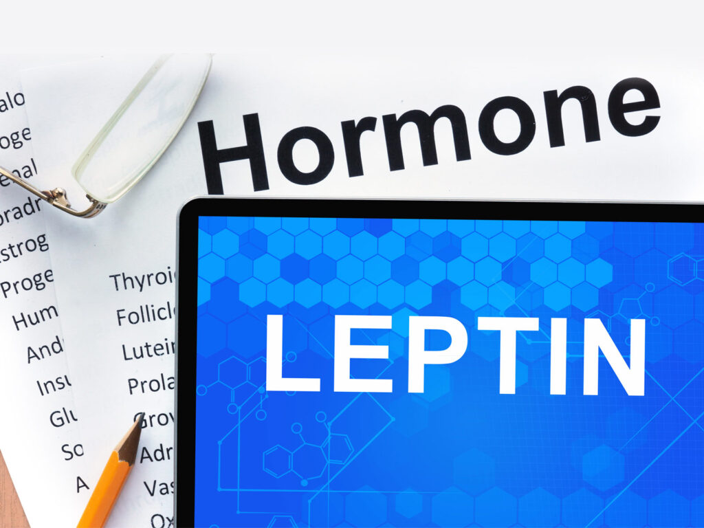 Master Your Leptin for a Lean Physique