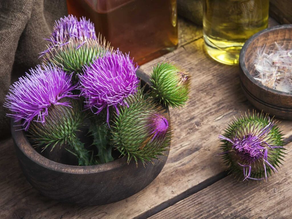 Protect Your Brain with This Herb