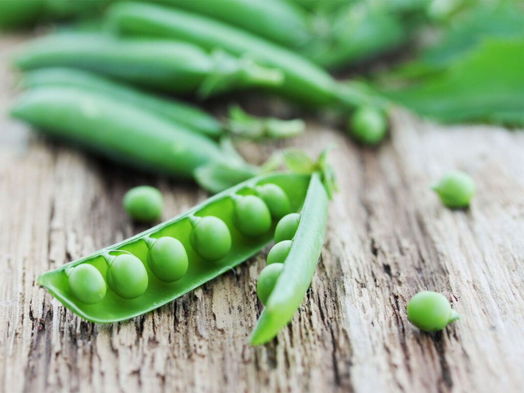 Are Toxins Harming Your Thyroid?