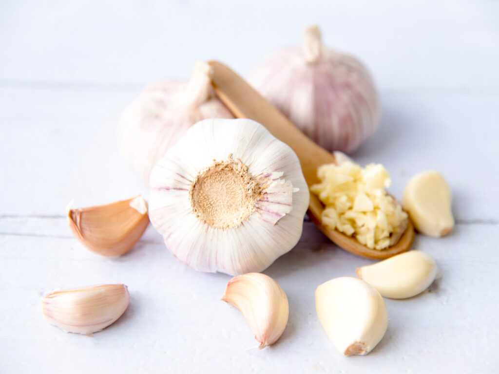The Dangers of Antibiotic Resistance (and The Superfood Cure!)