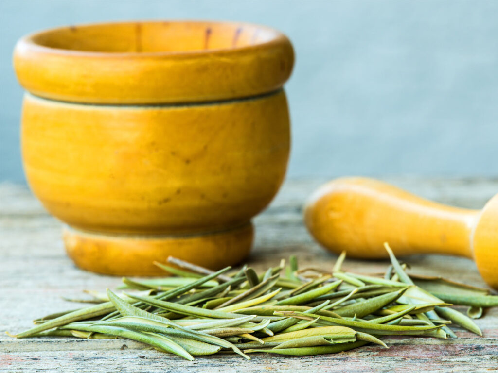 Ward Off Superbugs with Three Natural Antibiotics
