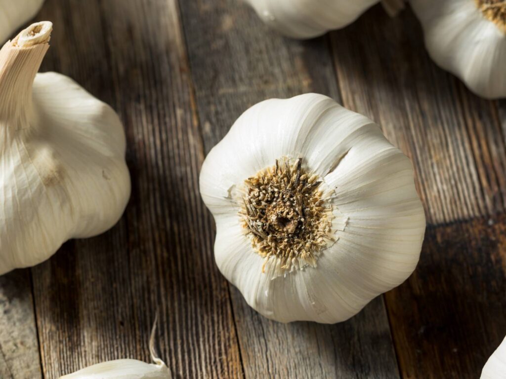 Could Garlic Be the Answer to This Global Health Threat?
